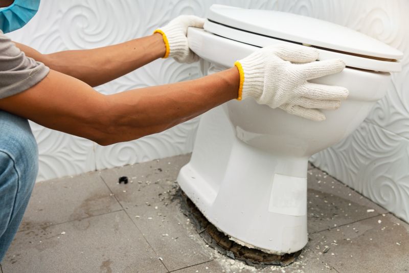 Toilet Repair
